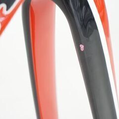 DE ROSA 「デローザ」 IDOL 2018年 フレームセットの画像