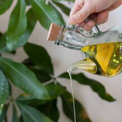 はじめてのアーユルヴェーダ・オイルケア講座