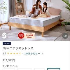 決まりました！【7/8までの引き取り／限定価格】NEW コアラ