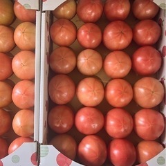 群馬の田舎のトマト🍅