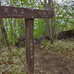 平日ゆる登山　。。プラスα仲間？募集 - その他