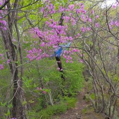 平日ゆる登山　。。プラスα仲間？募集 - 吾妻郡