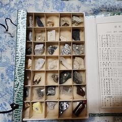 石標本の画像