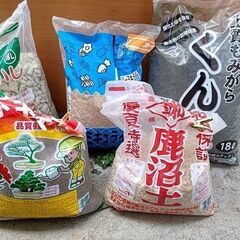 観葉植物用の土