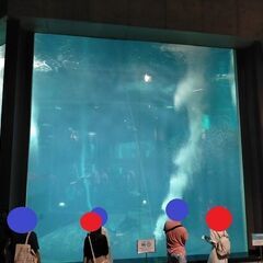 8/12㈪　17:00～ 40～55歳 夜の葛西臨海水族園散策 - 江戸川区