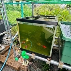 90×45×45 ガラス水槽