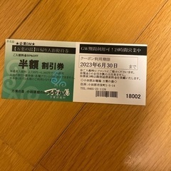 万葉の湯　日帰り券　半額
