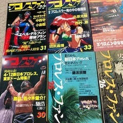 プロレスファン15冊【再お値下げしました】の画像