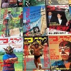 プロレスファン15冊【再お値下げしました】の画像