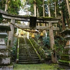⛩神社巡り☺️⛩