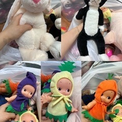 ぬいぐるみの画像