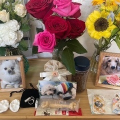 【さいたま市】訪問ペットセレモニー虹の橋【犬・猫】 - ペット