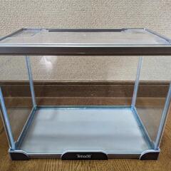 テトラ30cm水槽 アクアリウム