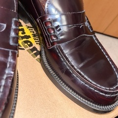 HARUTA Fredy &Grosterの画像