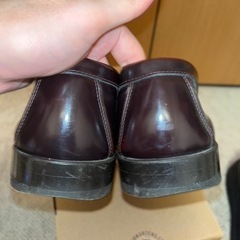 HARUTA Fredy &Grosterの画像