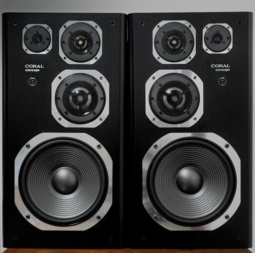 ★CORAL DX-ELEVEN 　最終コーラルの秀作との出会い！【お引き取り限定品】
