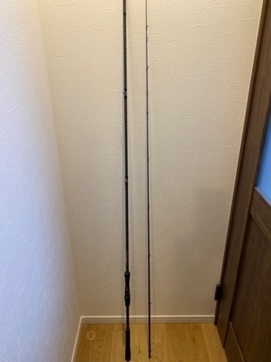 シマノ 18ディアルーナ  B106M