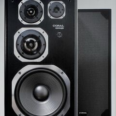 ★CORAL DX-ELEVEN 　最終コーラルの秀作との出会い！【お引き取り限定品】の画像