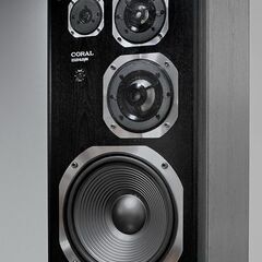 ★CORAL DX-ELEVEN 　最終コーラルの秀作との出会い！【お引き取り限定品】の画像