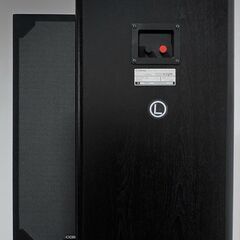 ★CORAL DX-ELEVEN 　最終コーラルの秀作との出会い！【お引き取り限定品】の画像