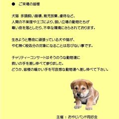 8/13(日) 出演者募集中！ジャンル問わず　オヤジバンド動物愛護チャリティコンサート at 常総市生涯学習センター  − 茨城県