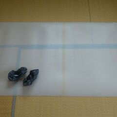 スライディングボードの画像