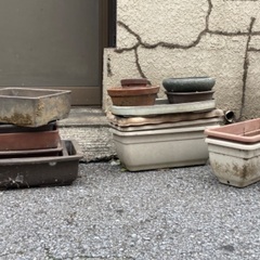 【無料・6/18引き渡し限定】植木鉢を差し上げます