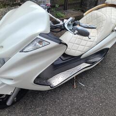 マジェスティ 250 福岡　北九州　距離19000 実働車