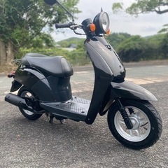 綺麗なトゥデイ！整備済み！外装新品！すぐに乗れます！ディオ