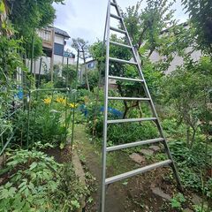 アルミ製三脚脚立