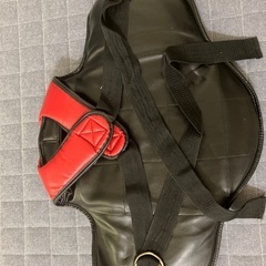 空手用プロテクターの画像