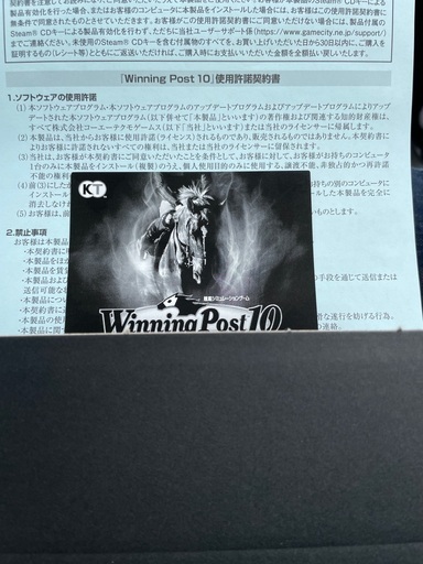 パソコン版　ウイニングポスト10