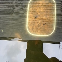 メダカ