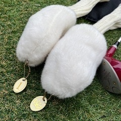 ゴルフクラブ　女子ハーフセット　ミズノの画像