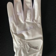 新品 PUMA ゴルフグローブ バリア 25cmの画像