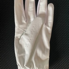 新品 PUMA ゴルフグローブ バリア 25cmの画像