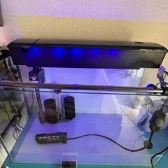 水槽セット①