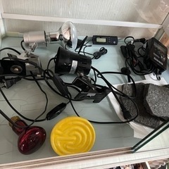 爬虫類ゲージとその他セット付き！　お買い得かと！！の画像