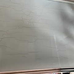 爬虫類ゲージとその他セット付き！　お買い得かと！！の画像