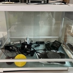 爬虫類ゲージとその他セット付き！　お買い得かと！！