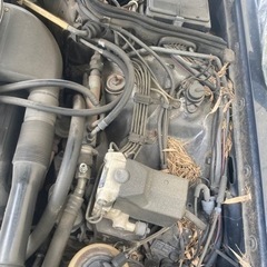 メルセデス　ベンツSクラス560SELの画像