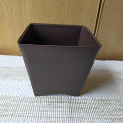 プラ　鉢