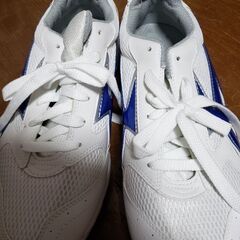 ★決まりました★あげます☺サイズ27センチの画像