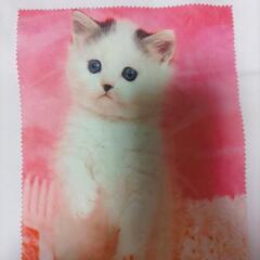￥０ 猫のメガネケース 子猫のメガネ拭きの画像
