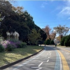 駒沢公園で一緒に走りませんか？🏃※参加費不要