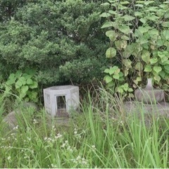 灯篭 かなり大きいです の画像