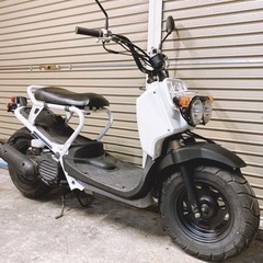 ホンダ　ズーマー　白　配送可能　支払いは現金or振り込みも可能