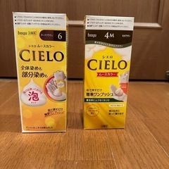 （未使用）ヘアカラー（白髪染め）