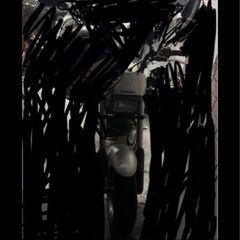 ストリートマジック車体