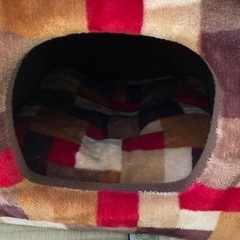 ✨ペットハウス✨美品の画像